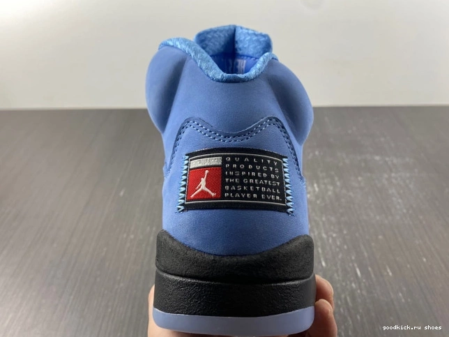 Rep 5 UNC DV1310-401 Air Jordan 0701